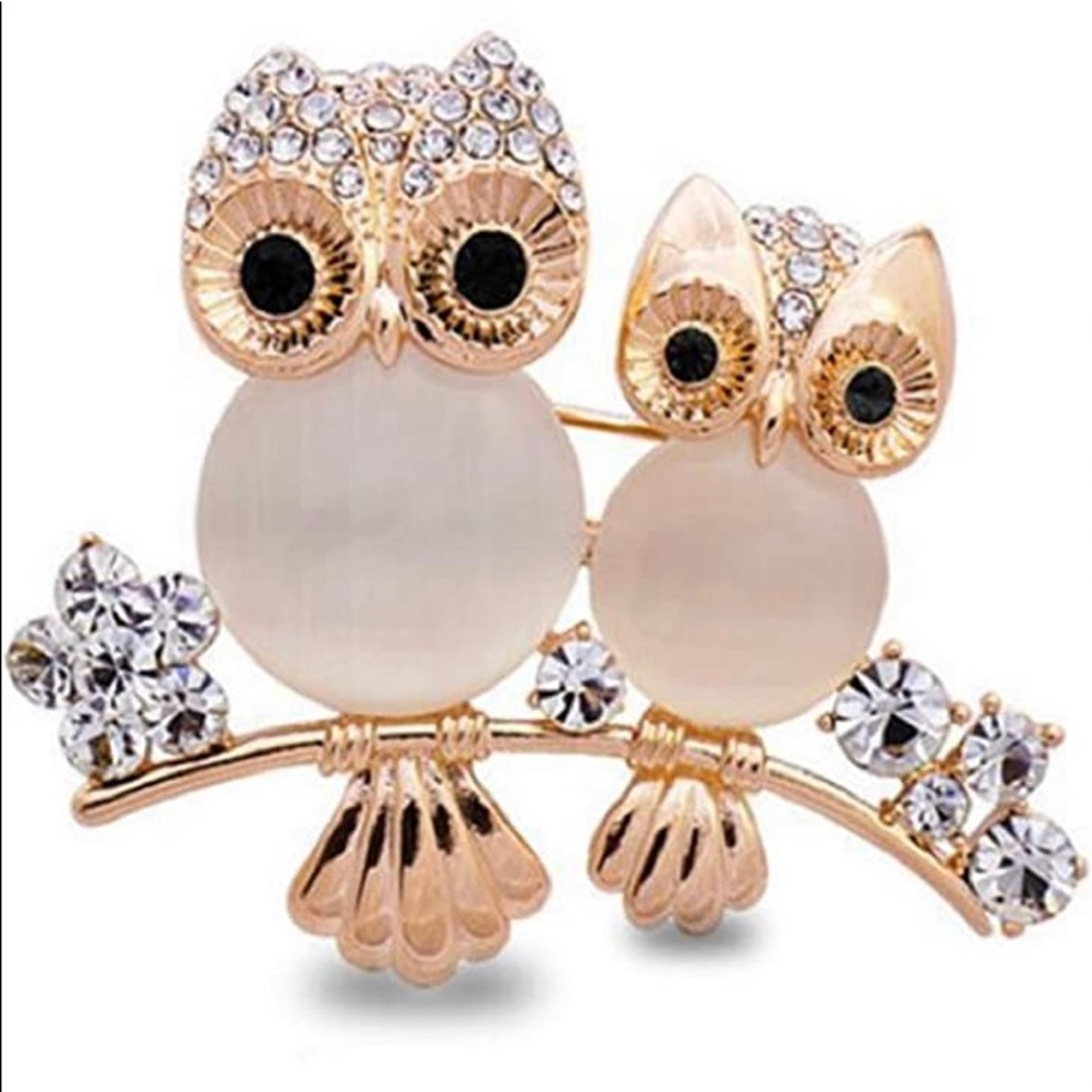 Beautiful brooch